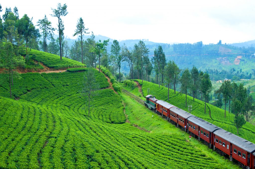 Nuwara Eliya