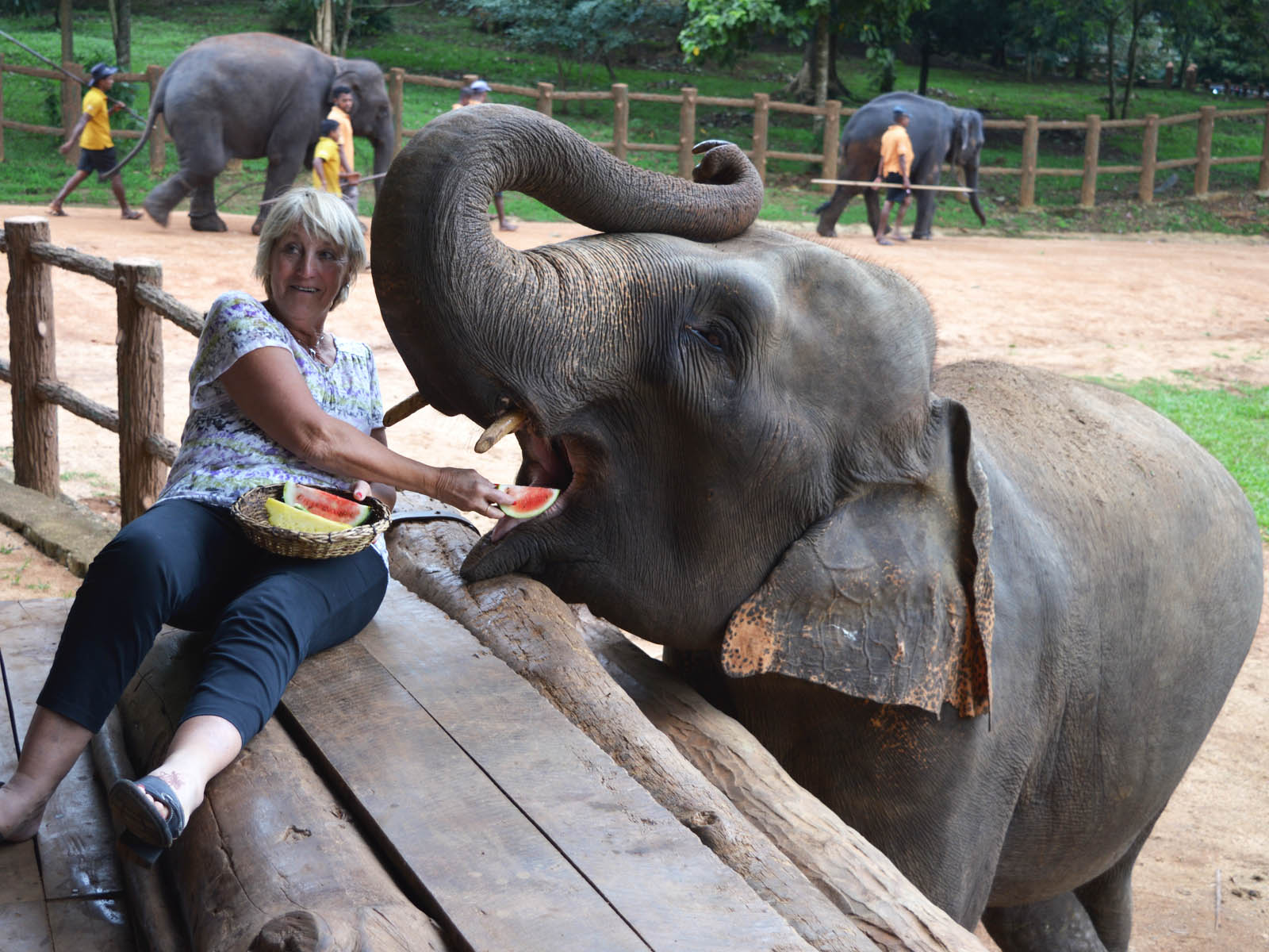 Lankan Traveller Tour Moment