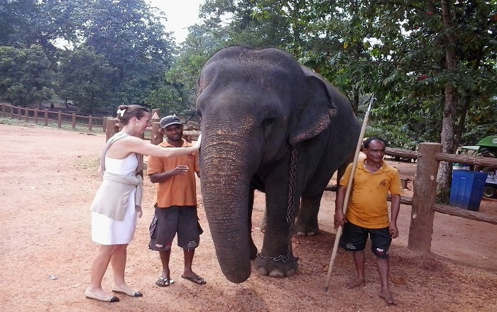 Lankan Traveller Tour Moment