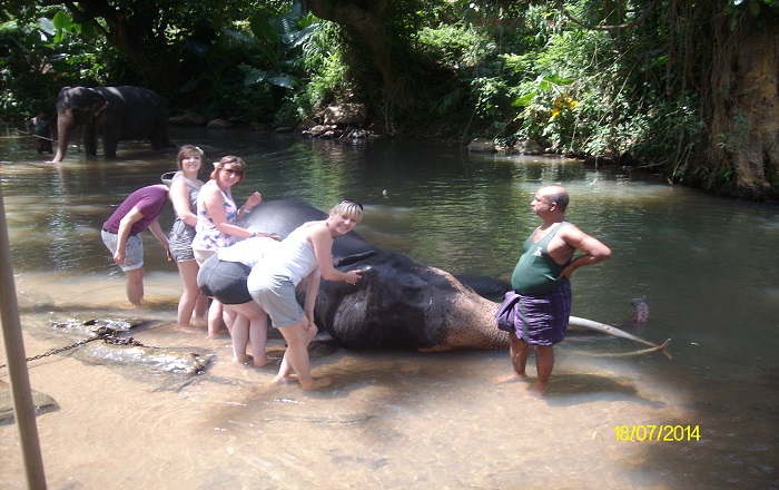 Lankan Traveller Tour Moment