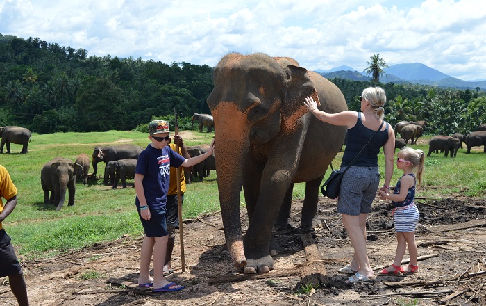 Lankan Traveller Tour Moment