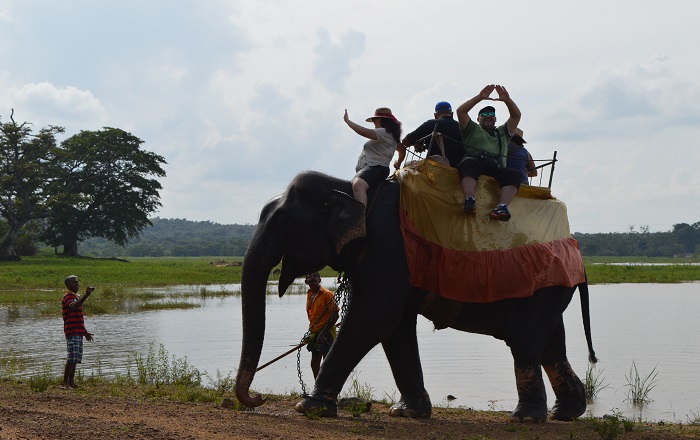 Lankan Traveller Tour Moment